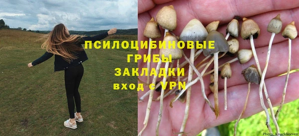 соль курить ск Фёдоровский
