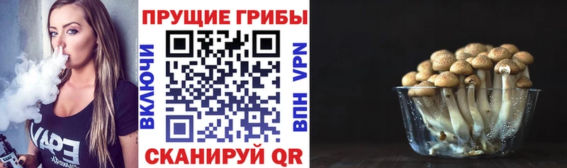 blacksprut   Приволжский  Псилоцибиновые грибы ЛСД 